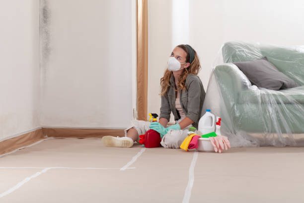 Reliable Mold Removal contractor in Georgetown, TX by WQB Mold Removal